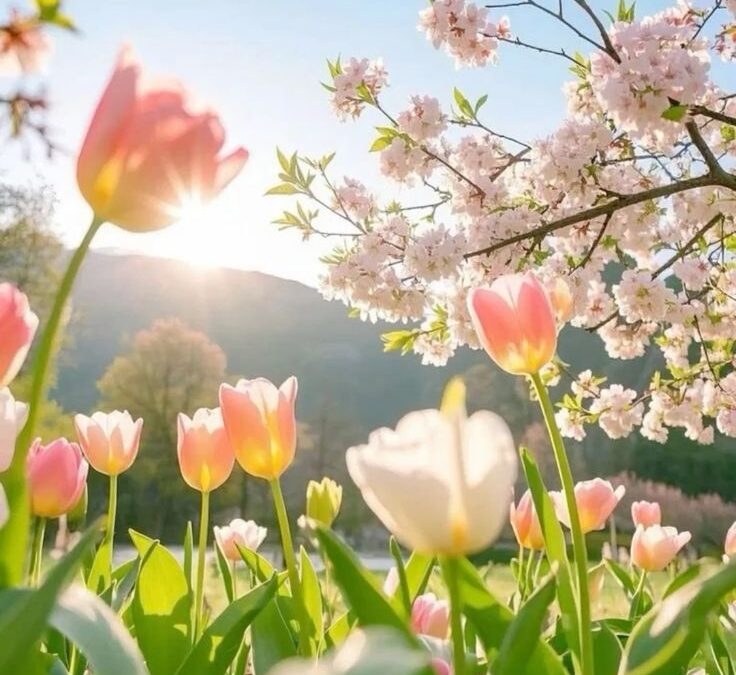 Risveglio primaverile: accompagnare corpo e pelle al cambio di stagione